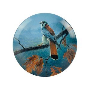 Knowles Bradford Exchange Bradex 1989 Decorative 8.5" Plate "The American Kestra